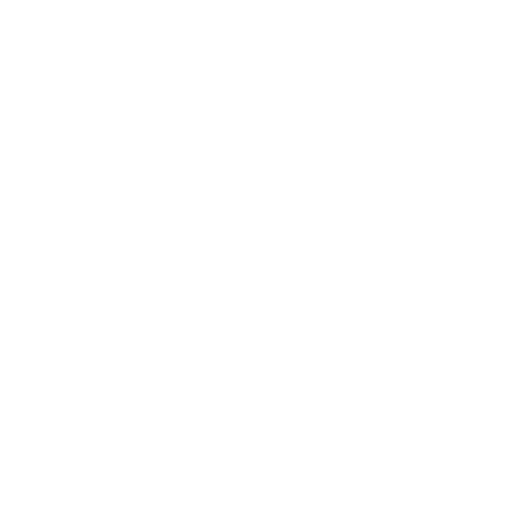 Bible Icon