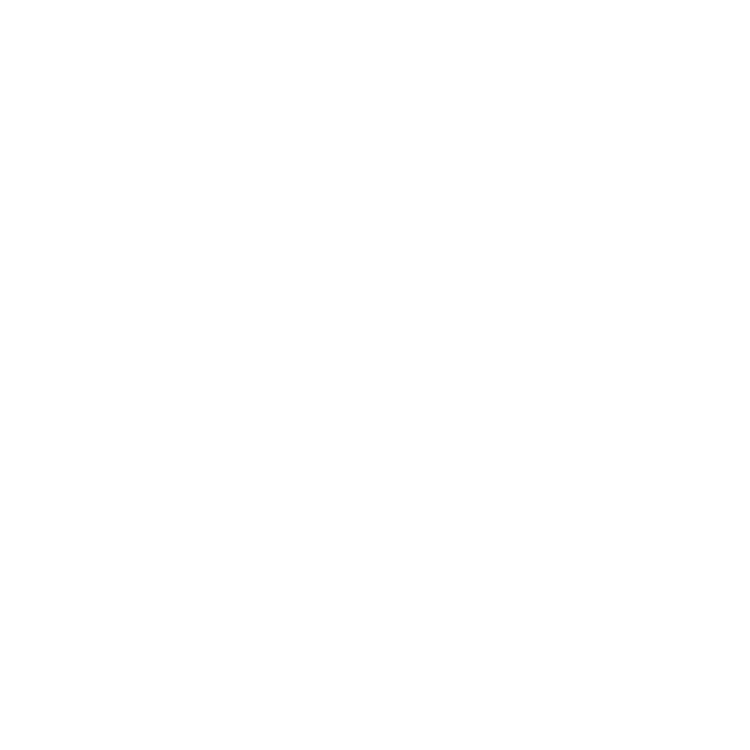 PDF Icon