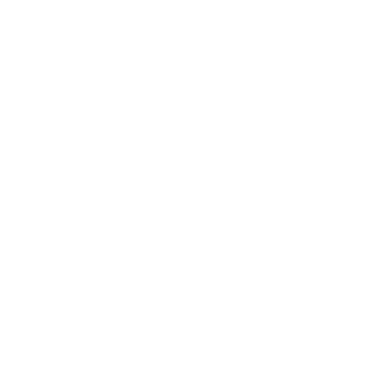 PDF Icon